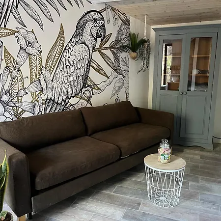 Ferienwohnung La Dependance 13D Rue Pasteur Saint-Mandrier-sur-Mer Exterior foto